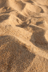 Fototapeta na wymiar Small sand dunes