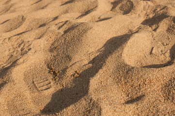 Fototapeta na wymiar Small sand dunes