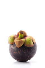 Mangosteen