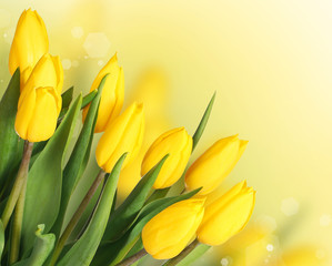 Spring Flowers. Beautiful Yellow Tulips Bouquet