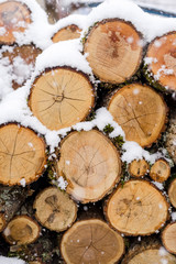 Firewood stacked in a pile sunlit