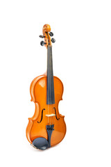 violin on white background