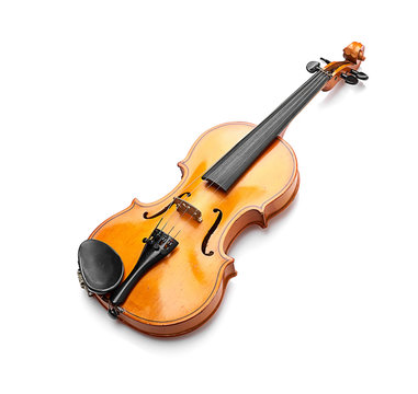 violin on white background