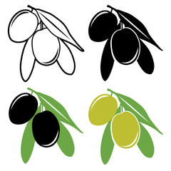 Olives vector set