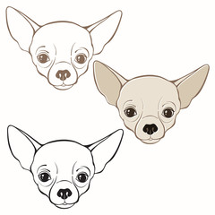 Vector set of  chihuahua's face. Hand-drawn vector illustration.