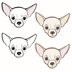 Vector set of  chihuahua's face. Hand-drawn vector illustration.