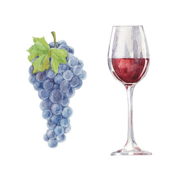 Grapes and red wine in a glass  isolated on a white background.V