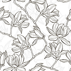 Monochrome  seamless  background with magnolia.