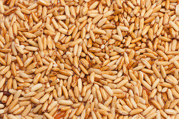 Fried rice seedbackground