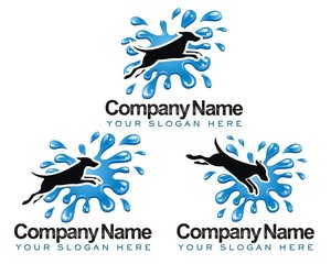 dog splash water image logo vector