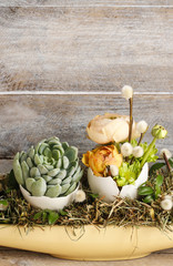 Easter table decoration with succulents and ranunculus flower