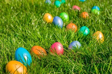 Fototapeta na wymiar Colorful Easter eggs on a green grass