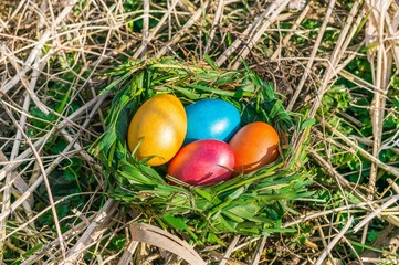 Nest with colored eggs