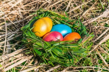 Nest with colored eggs
