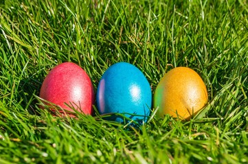 Colorful Easter eggs on a green grass
