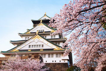 Naklejka premium Japan Osaka Castle close up with cherry blossom