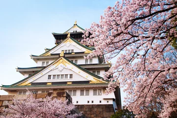 Poster Japan Osaka Castle close-up met kersenbloesem © MoustacheGirl