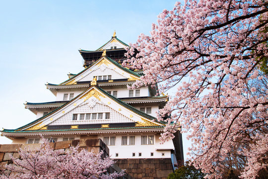 Fototapeta Japan Osaka Castle close up with cherry blossom