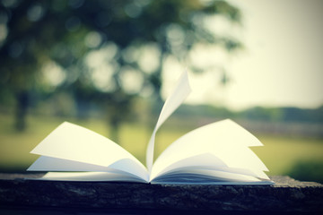open book with flying book page on wood table