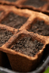 Peat nurseries