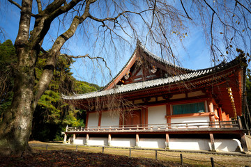 Fototapeta premium Japanese temple