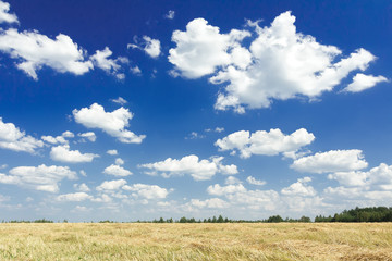 Obraz premium Summer cumulus on aero sky above harvested field