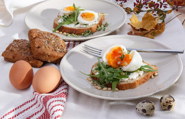 sandwiches with eggs