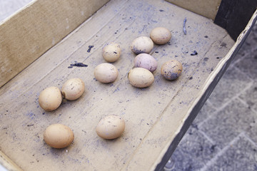 Eggs in a charcoal grilling