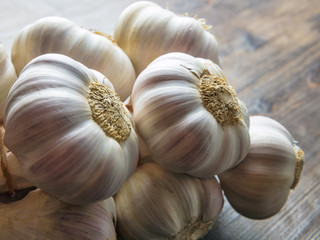 Knoblauch