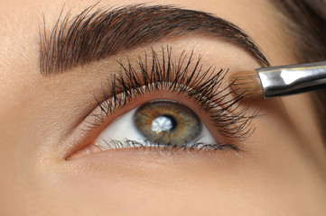 Naklejka premium Make-up. Eyebrow Makeup.