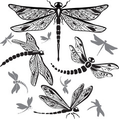 Set of decorative dragonflies