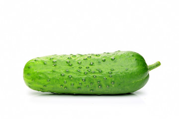 cocumbers