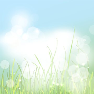 Illustration of the summer background with green grass