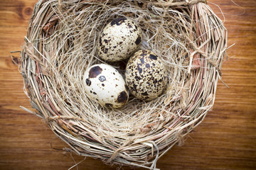 Quail eggs. Easter greeting card.