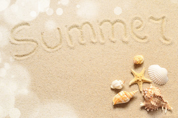 Summer beach. Seashell on the sand.