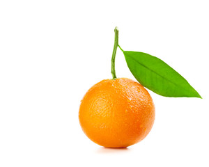 Ripe orange fruit with drops of water on the skin