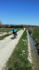 Obraz premium Cyclisme