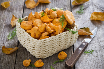 fresh forest chanterelle mushrooms in a basket on wooden table © cook_inspire