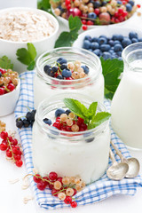 yogurt with berries and breakfast foods