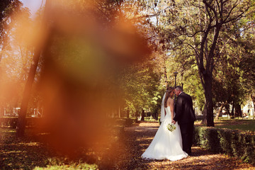 Bride and groom on a autumn day