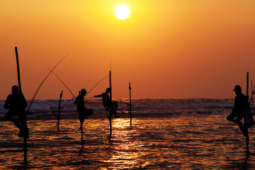 Fototapeta premium Silhouettes of the traditional stilt fishermen at the sunset nea