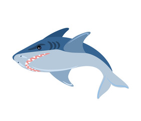 Vector shark illustration