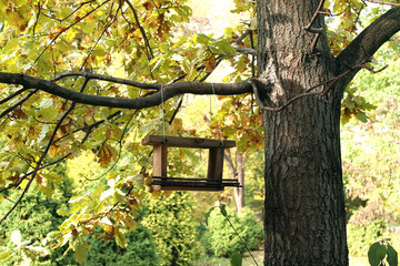 Wooden bird feeder in a garden tree