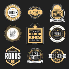 Set of Retro Vintage Badges and Logotypes