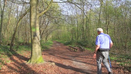 People running together in forest