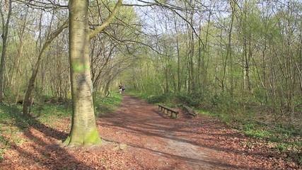 People running together in forest