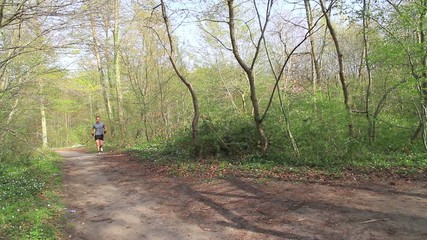 People running together in forest
