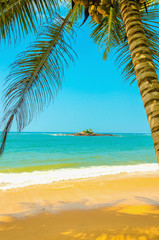 Amazing sandy beach 1with coconut palm, azure ocean