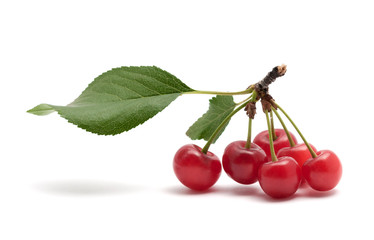 Tasty red  ripe cherry