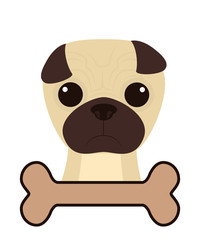 Dog design, vector illustration.